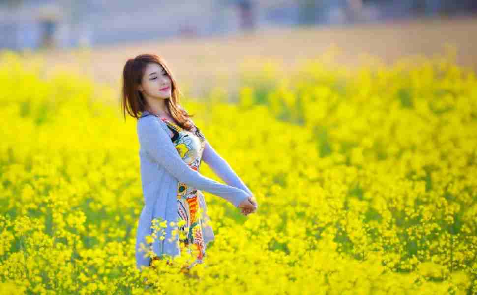 泛目录站群排名